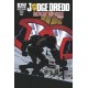 JUDGE DREDD 17. SUBSCRIPTION. IDW PUBLISHING.
