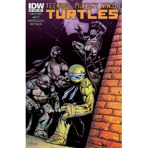 TEENAGE MUTANT NINJA TURTLES 33. COVER A. TMNT. IDW PUBLISHING.