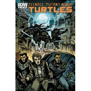 TEENAGE MUTANT NINJA TURTLES 33. COVER B. TMNT. IDW PUBLISHING.