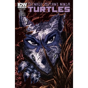 TEENAGE MUTANT NINJA TURTLES 30. COVER B. TMNT. IDW PUBLISHING.