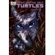 TEENAGE MUTANT NINJA TURTLES 30. COVER B. TMNT. IDW PUBLISHING.