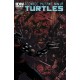 TEENAGE MUTANT NINJA TURTLES 28. CITY FALL. COVER B. TMNT