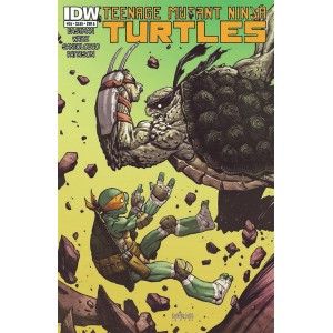 TEENAGE MUTANT NINJA TURTLES 35. COVER A. TMNT. IDW PUBLISHING.