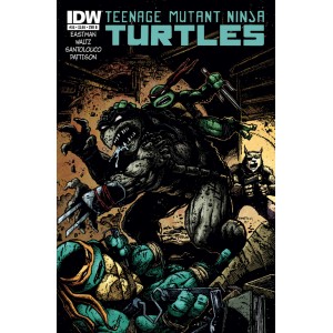 TEENAGE MUTANT NINJA TURTLES 35. COVER B. TMNT. IDW PUBLISHING.