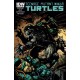 TEENAGE MUTANT NINJA TURTLES 35. COVER B. TMNT. IDW PUBLISHING.