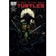 TEENAGE MUTANT NINJA TURTLES 36. COVER B. TMNT. IDW PUBLISHING.