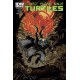 TEENAGE MUTANT NINJA TURTLES 37. COVER B. TMNT. IDW PUBLISHING.