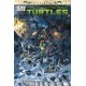 TEENAGE MUTANT NINJA TURTLES TURTLES IN TIME 3. SUBSCRIPTION. IDW PUBLISHING.