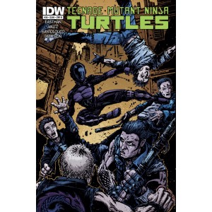 TEENAGE MUTANT NINJA TURTLES 38. COVER B. TMNT. IDW PUBLISHING.