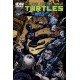 TEENAGE MUTANT NINJA TURTLES 38. SUBSCRIPTION. TMNT. IDW PUBLISHING.