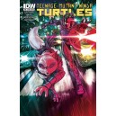 TEENAGE MUTANT NINJA TURTLES 40. COMICS COVER. TMNT. IDW PUBLISHING.