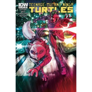 TEENAGE MUTANT NINJA TURTLES 40. COVER A. TMNT. IDW PUBLISHING.