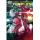 TEENAGE MUTANT NINJA TURTLES 40. COMICS COVER. TMNT. IDW PUBLISHING.