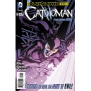 CATWOMAN 15. DC RELAUNCH (NEW 52).