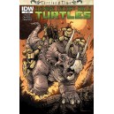 TEENAGE MUTANT NINJA TURTLES TURTLES IN TIME 1. COMICS COVER. IDW PUBLISHING.