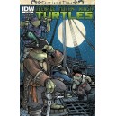 TEENAGE MUTANT NINJA TURTLES TURTLES IN TIME 3. COMICS COVER. IDW PUBLISHING.