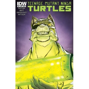 TEENAGE MUTANT NINJA TURTLES 38. COVER A. TMNT. IDW PUBLISHING.