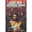 STAR TREK. PLANET OF THE APES 2. SUBSCRIPTION COVER. IDW PUBLISHING.